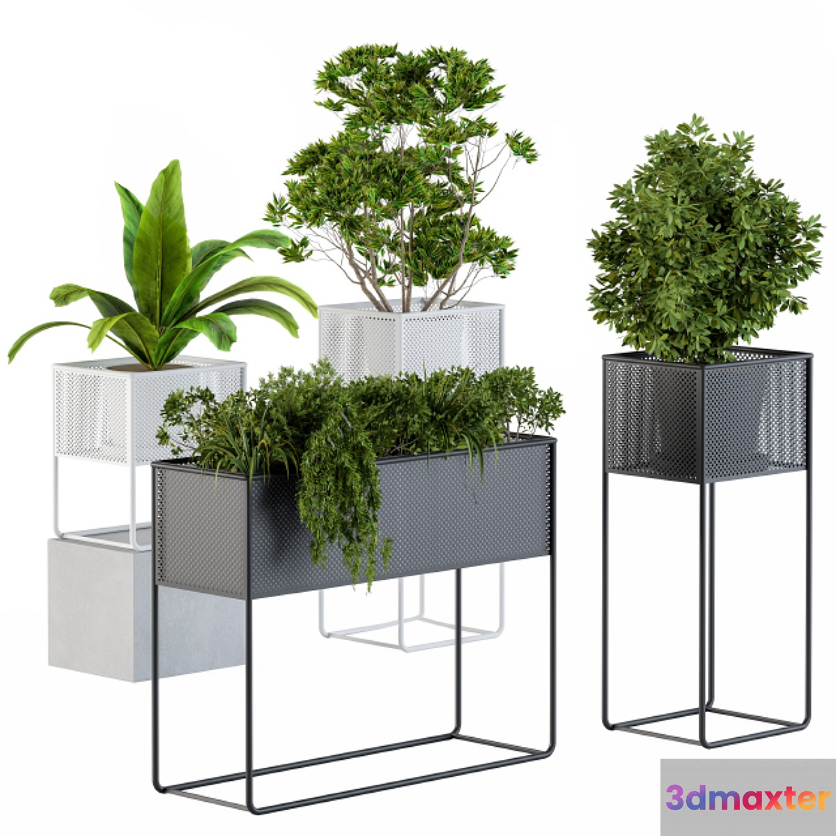 Home Set Plants Metal Box 3D Max
