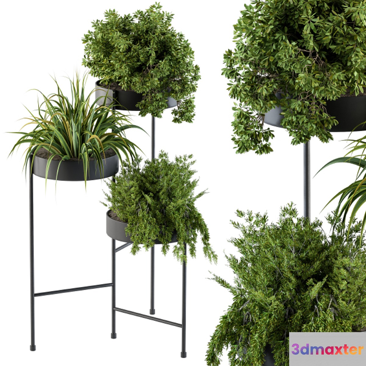 Black round plant box - No.4
