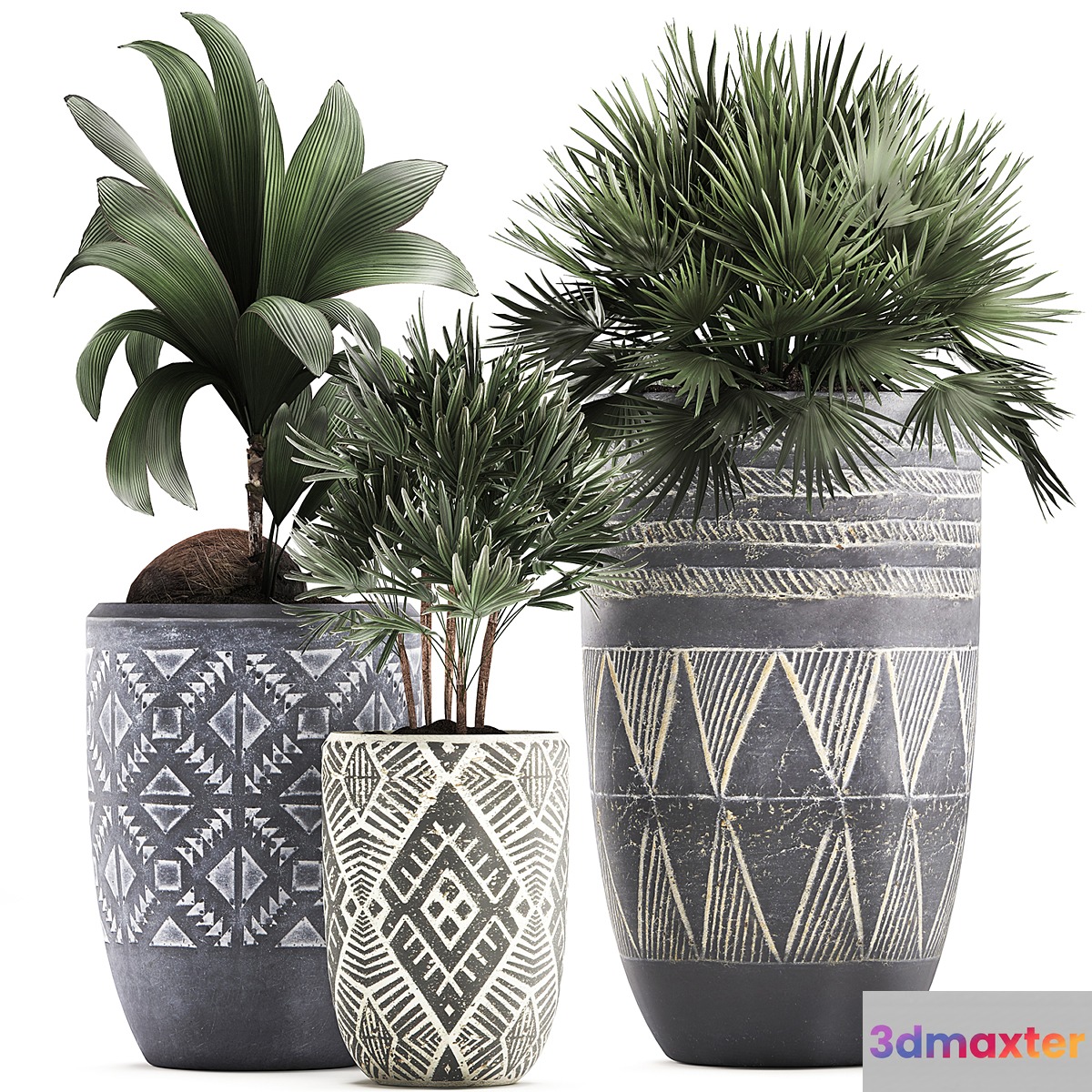 Collection of small plants in ethnic aged pots with coconut nutsifera fan palm Rhapis . Set 475. 3D Max