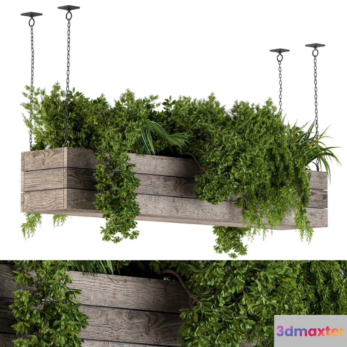 Hanging Plants in Wooden Box 3D Max