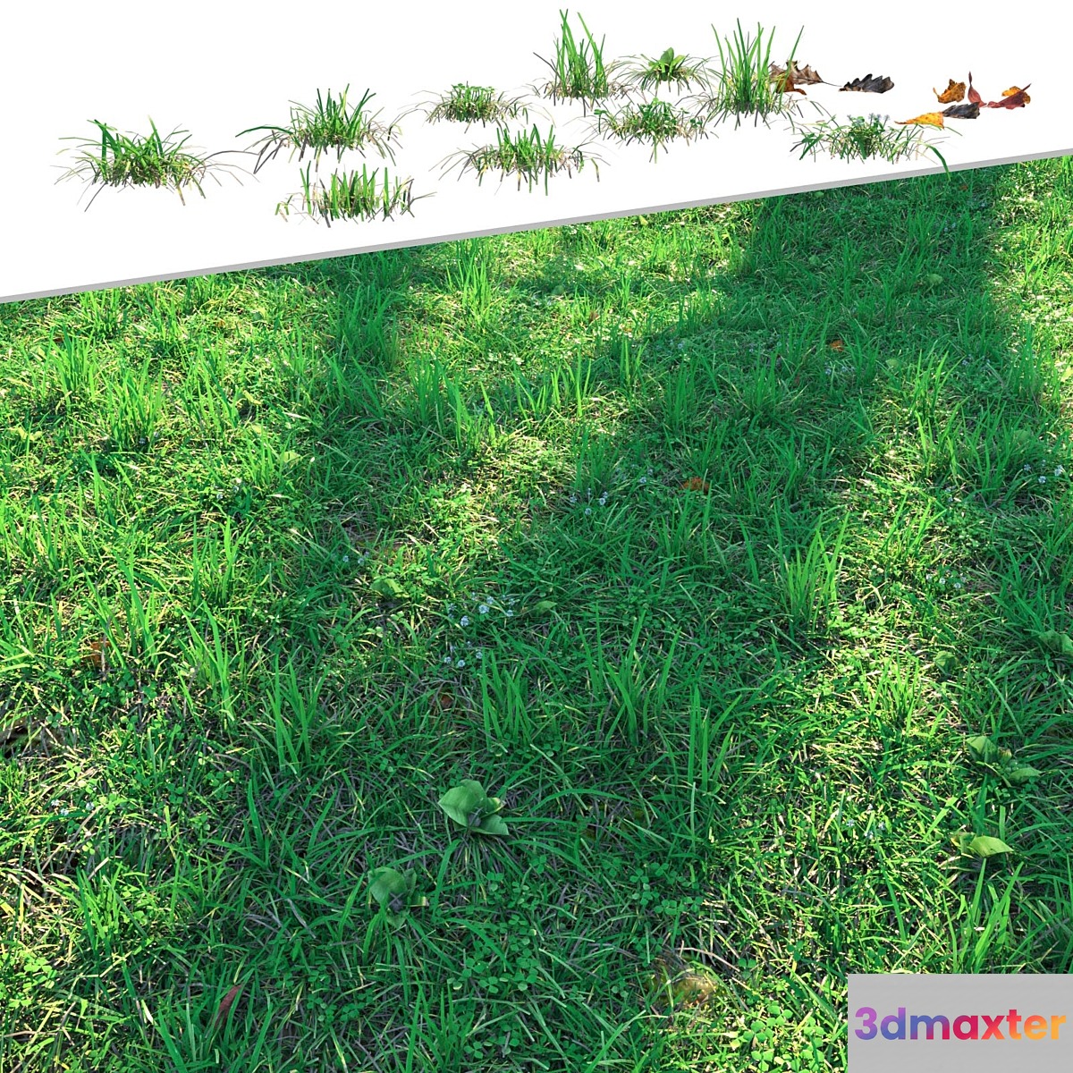 Lawn 3D Max