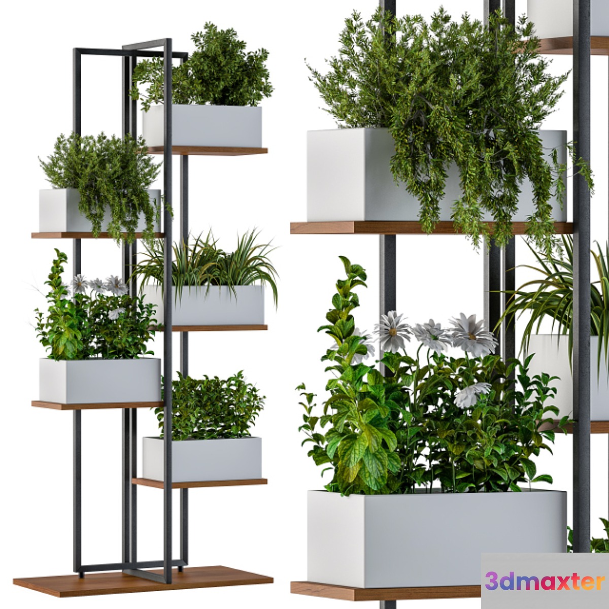 White Box Plants on stand 3D Max