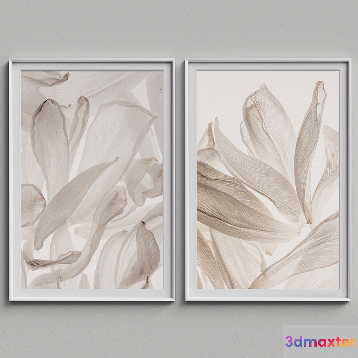 Nice Picture Frames Set 60 3D Max