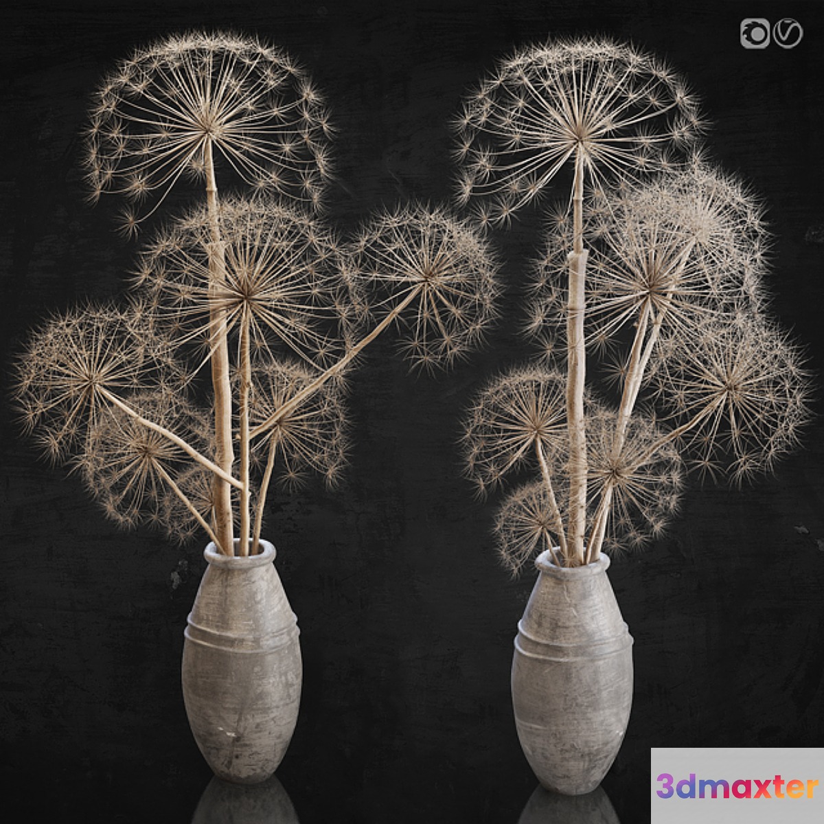 Decor set 11 Heracleum plant