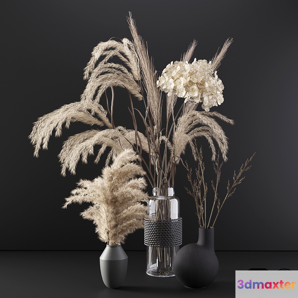 Set with dry plants