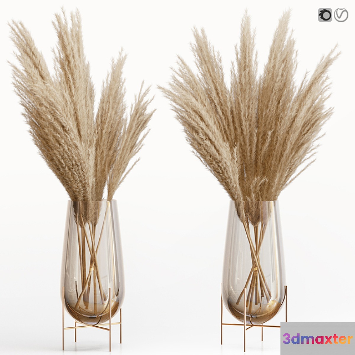 Big dried flower pampas grass in glass vase 5