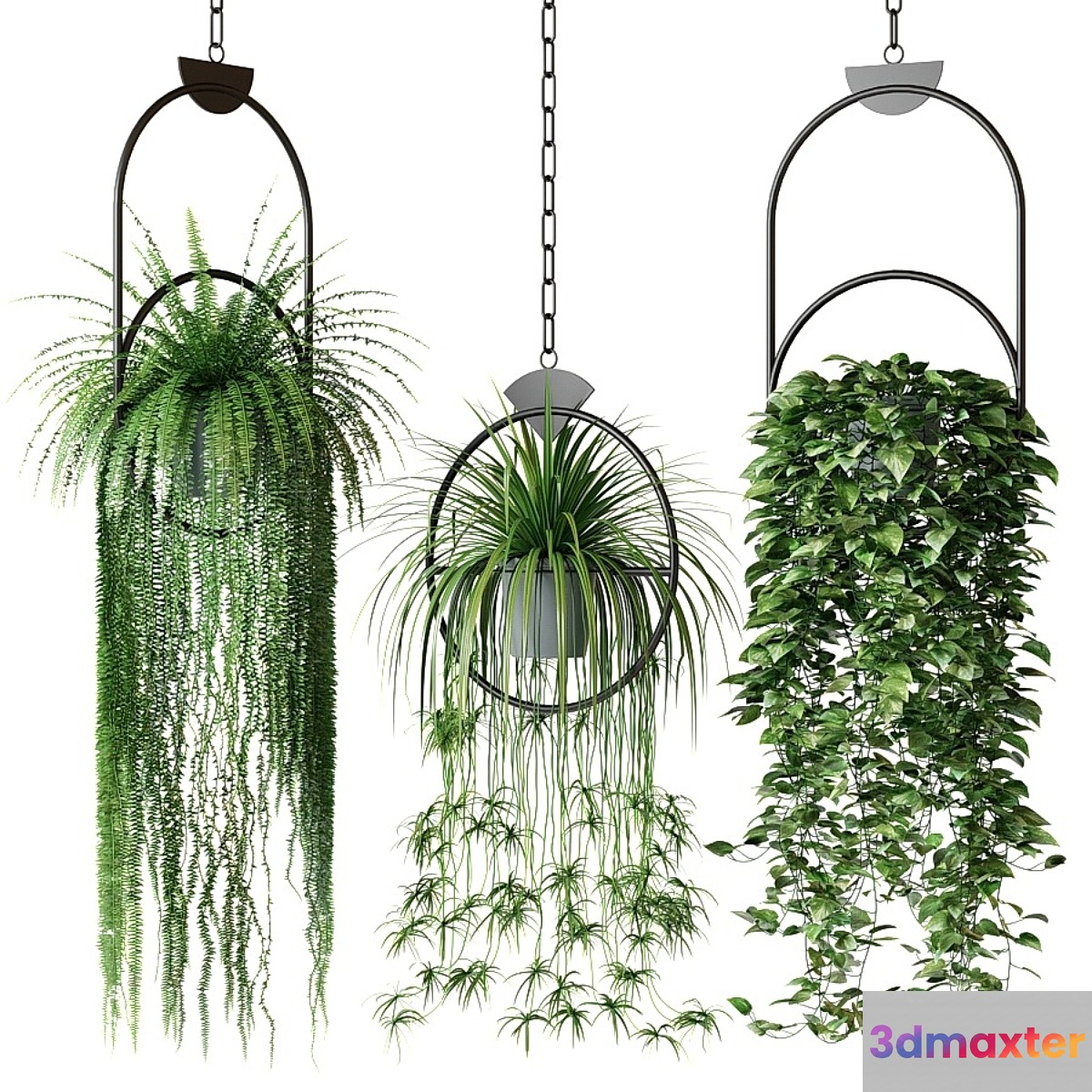 Set of hanging plants in hanging planters 2 - No.2