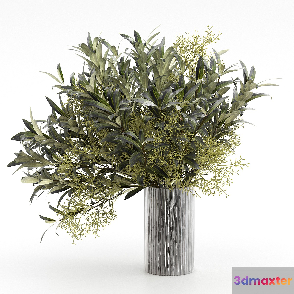 Bouquet of olive branches.