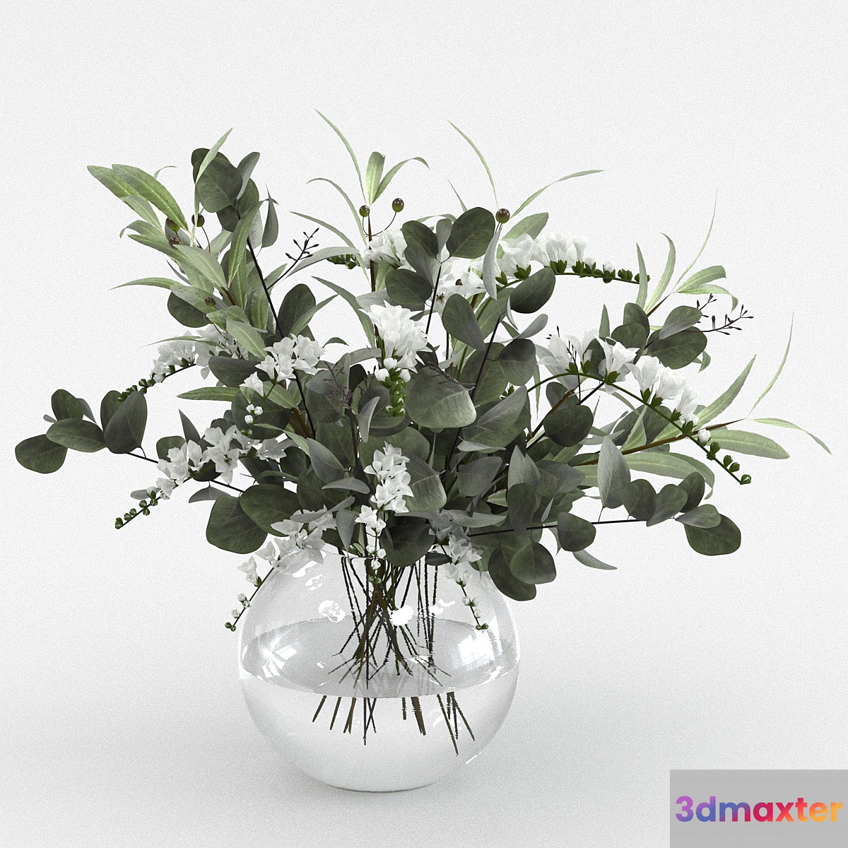 Bouquet of olive and eucalyptus branches