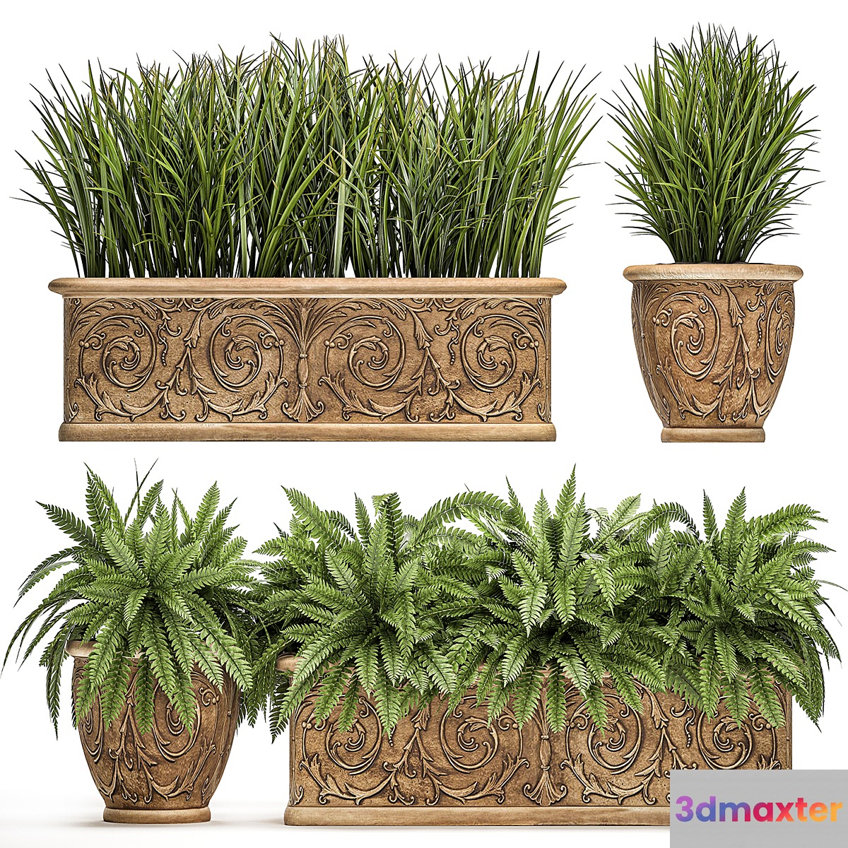 A collection of plants in classic outdoor pots vases with monograms with ferns bushes grass flowerbed. Set 496. - No.3