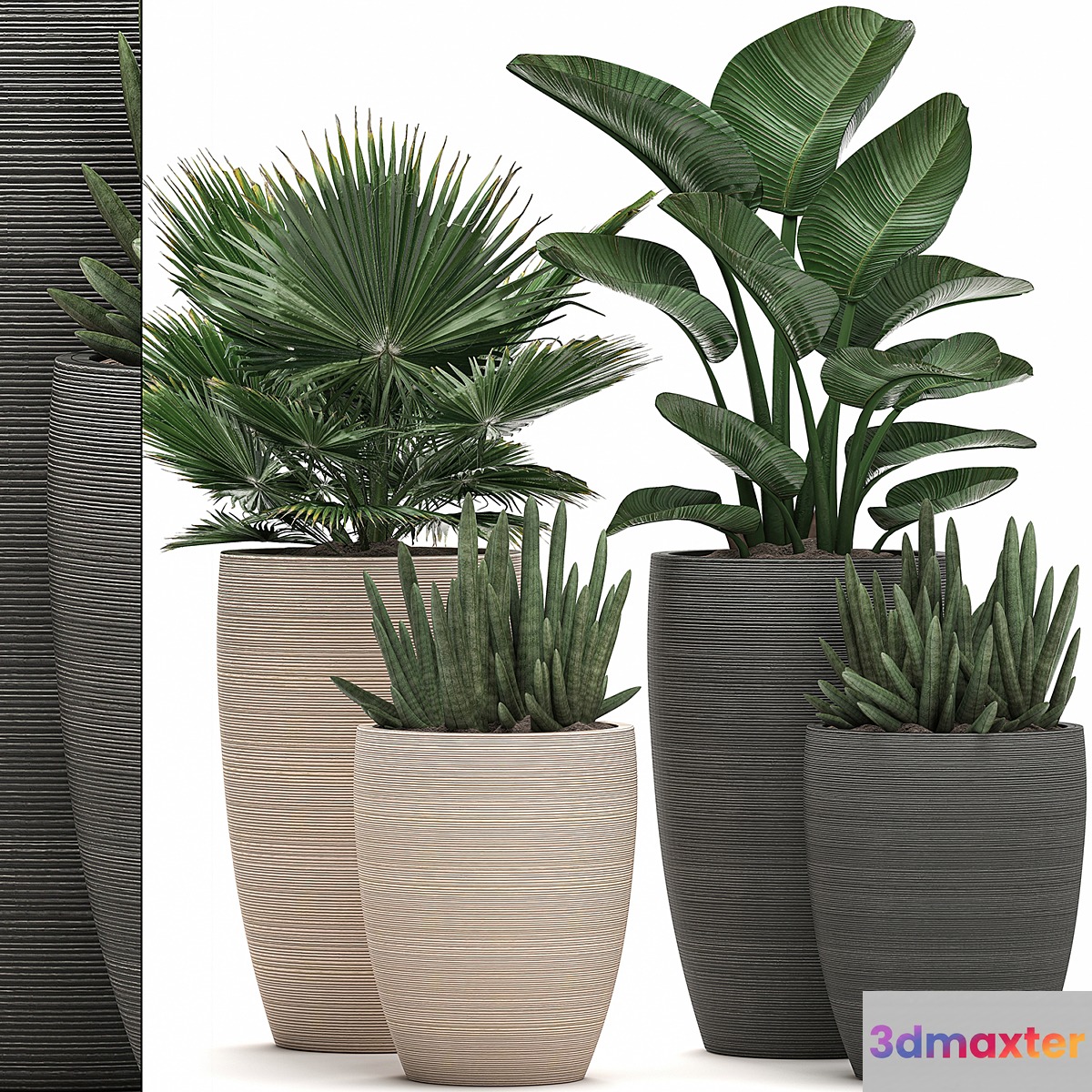 Collection of small plant flowers in modern pots with fan palm strelitzia sansevieria cylindrical. Set 498. 3D Max