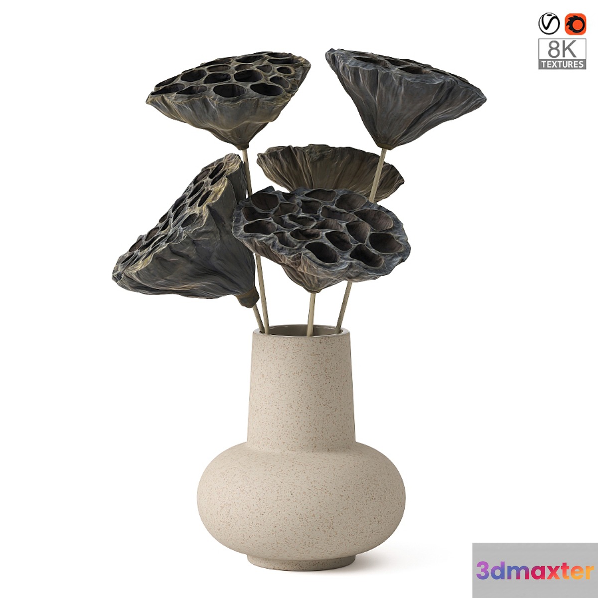 Vases with dried plant 3D Max