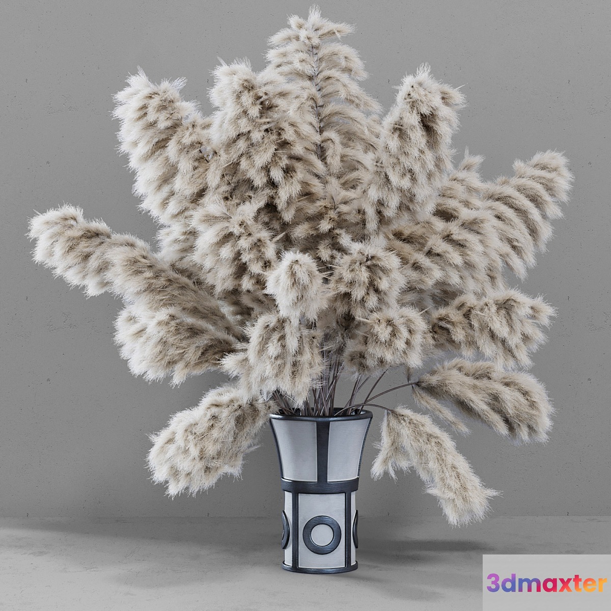 DRIED FLOWERS _ pampas grass