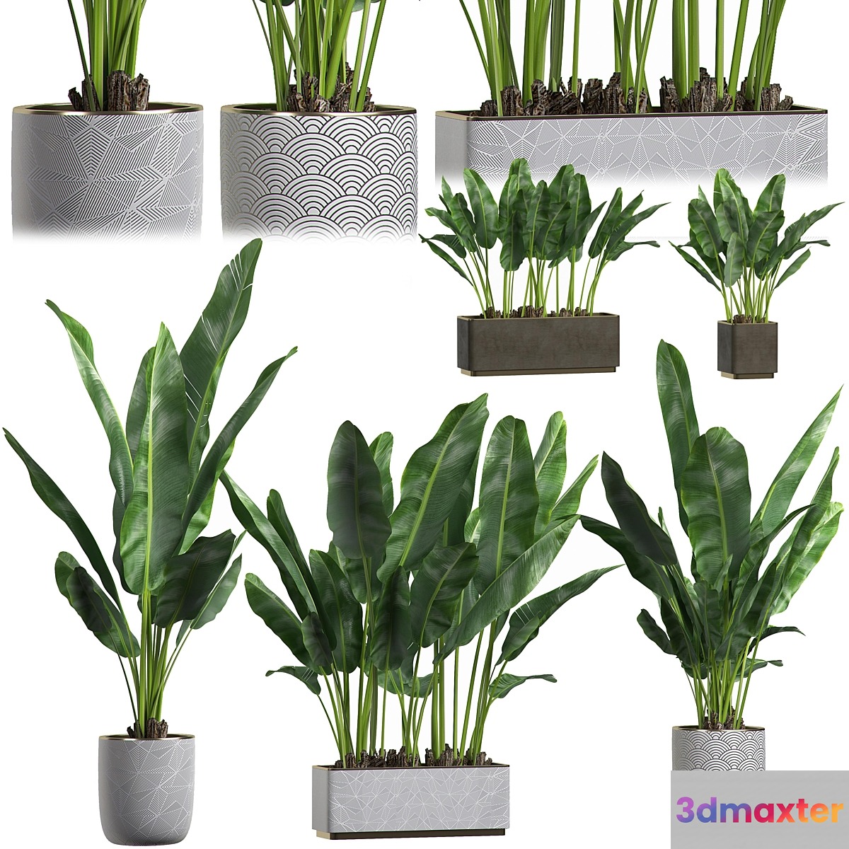INTERIOR FLOWER PACK 1 3D Max