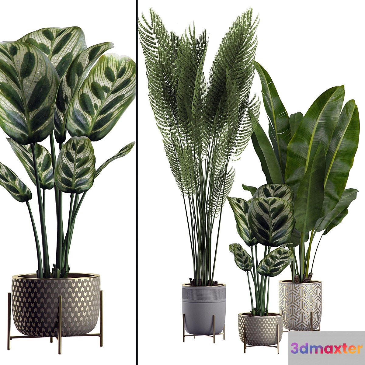 INTERIOR FLOWER PACK 2 3D Max