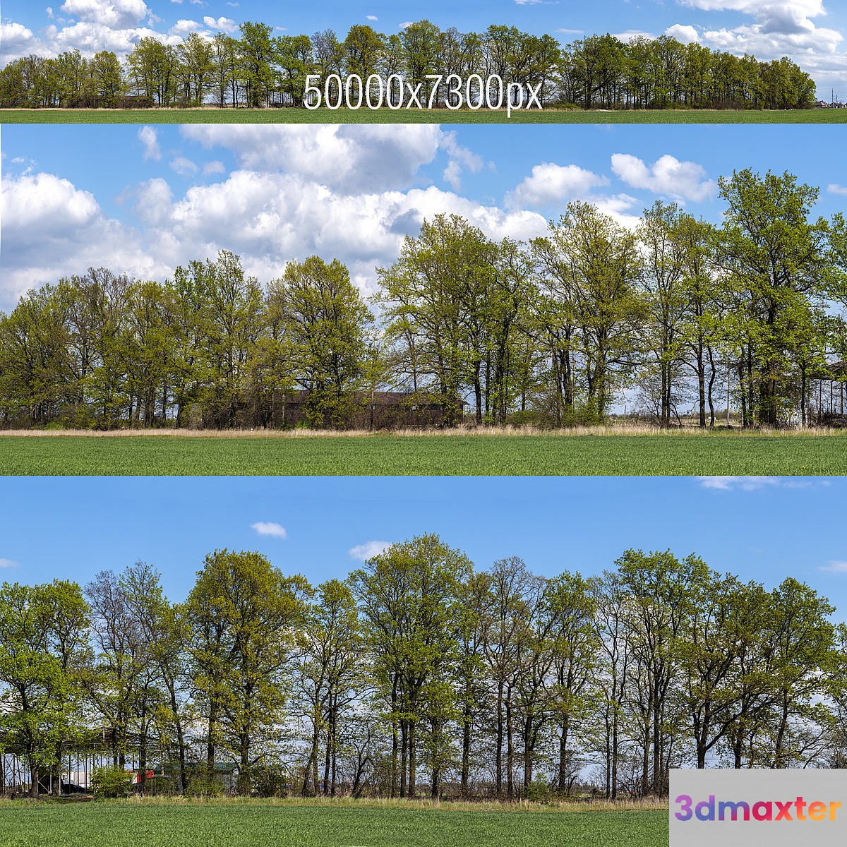 Panorama with Trees v2. 50k