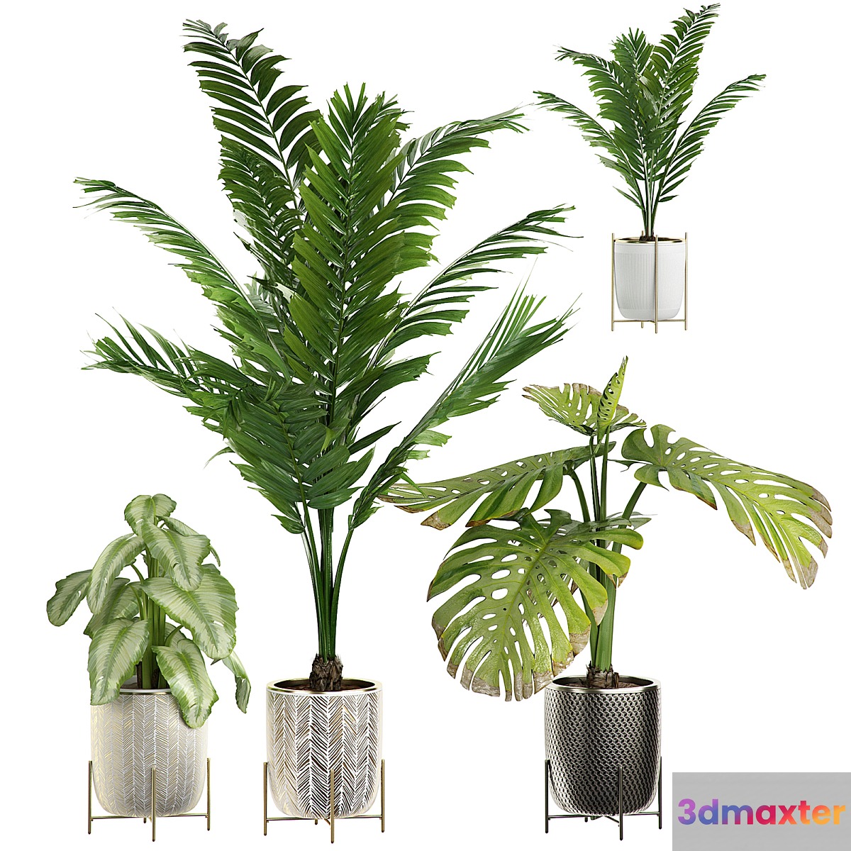 INTERIOR FLOWER PLANT PACK 4