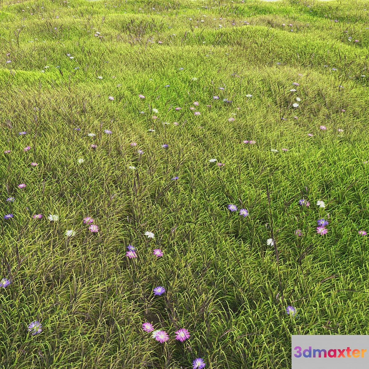arch_grass 05 3D Max
