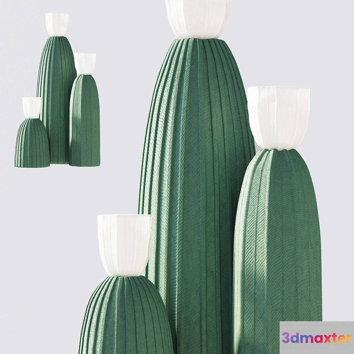 Cactus light