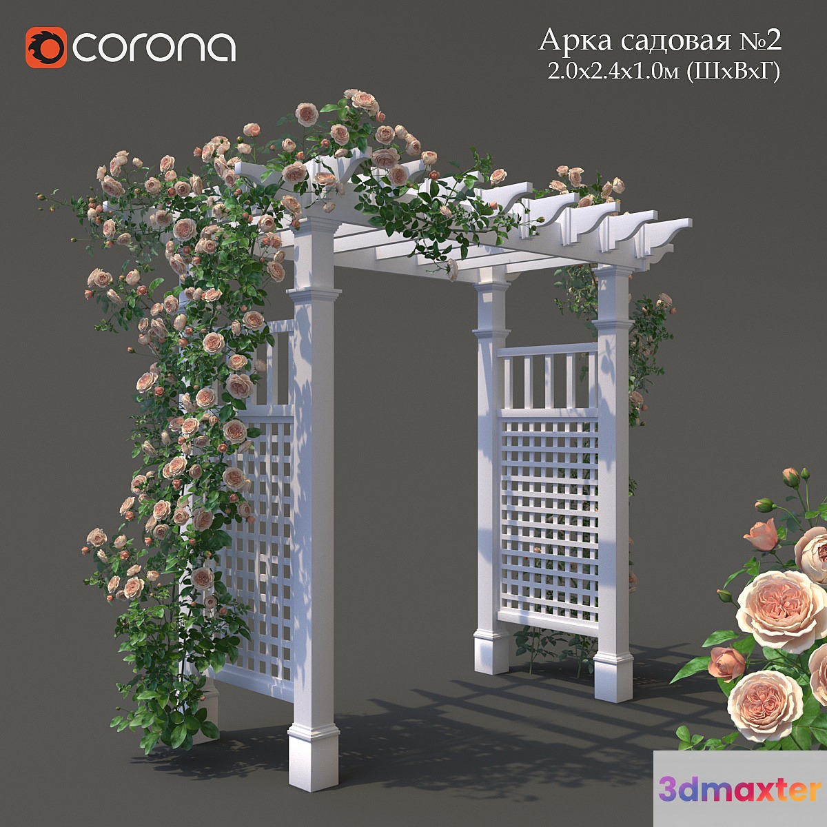 Garden Arch No. 2. Climbing Peony Rose 3D Max