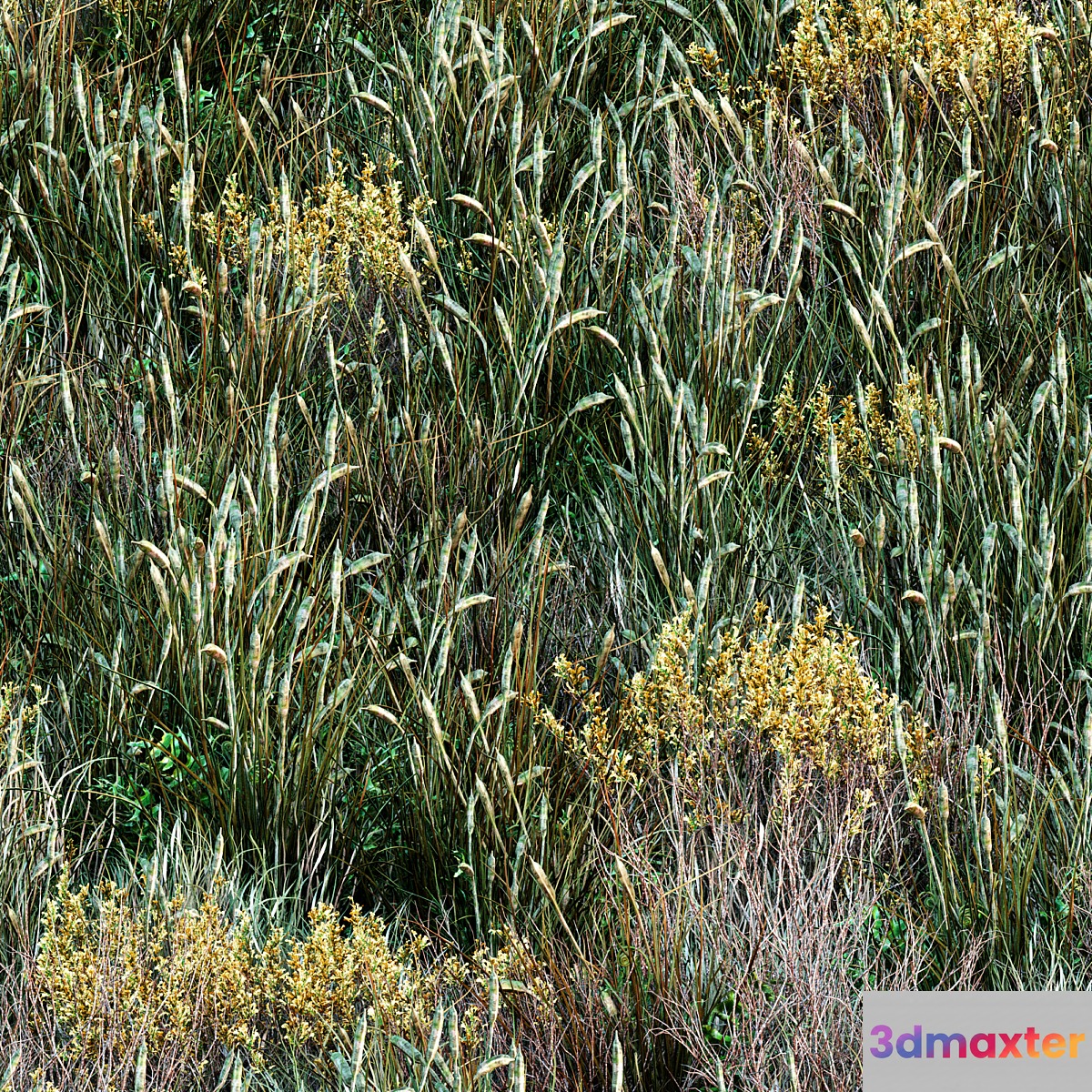 Forest grass 001 3D Max
