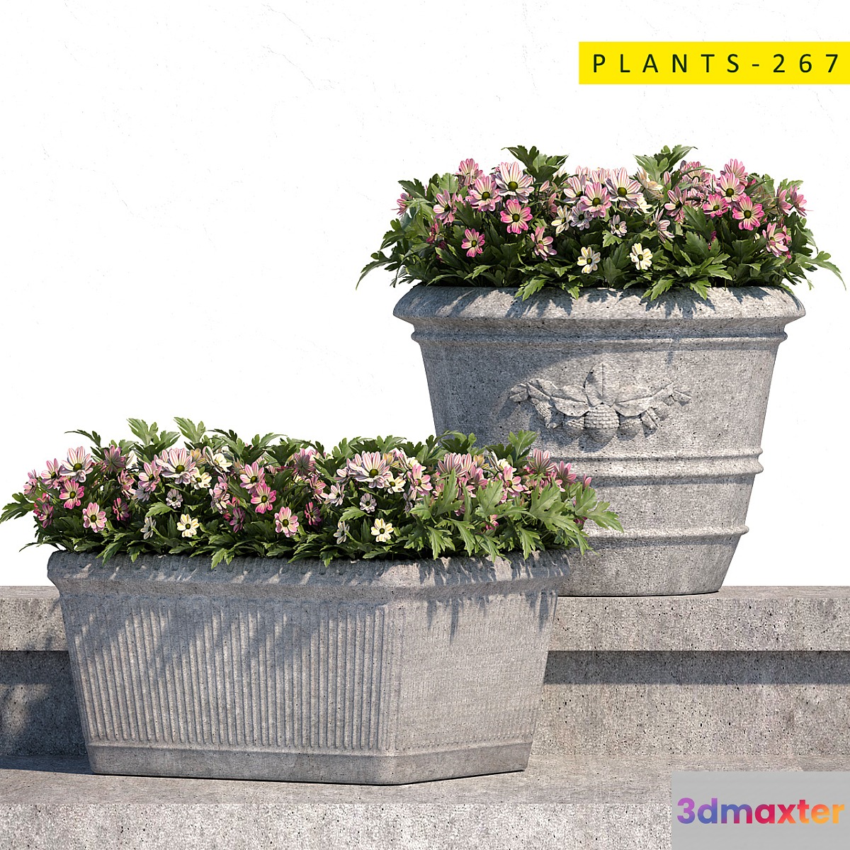 plants 267 3D Max