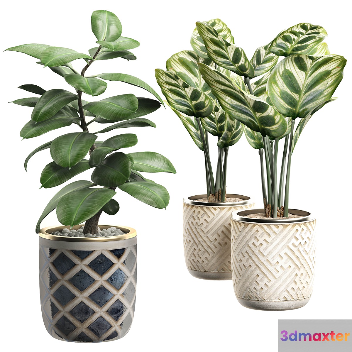 INTERIOR FLOWER PACK 9 - Window placing plants 3D Max