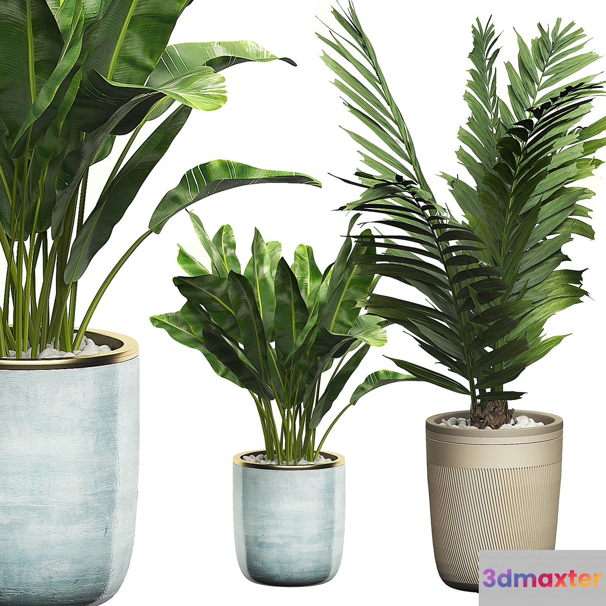INTERIOR FLOWER PACK 10 - Window placing plants