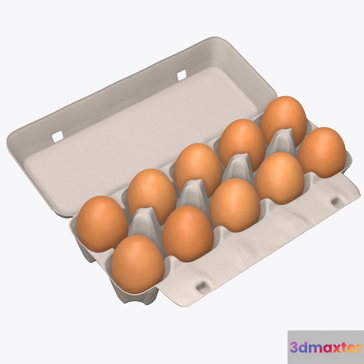 Egg cardboard package for 10 eggs opened 3D Max