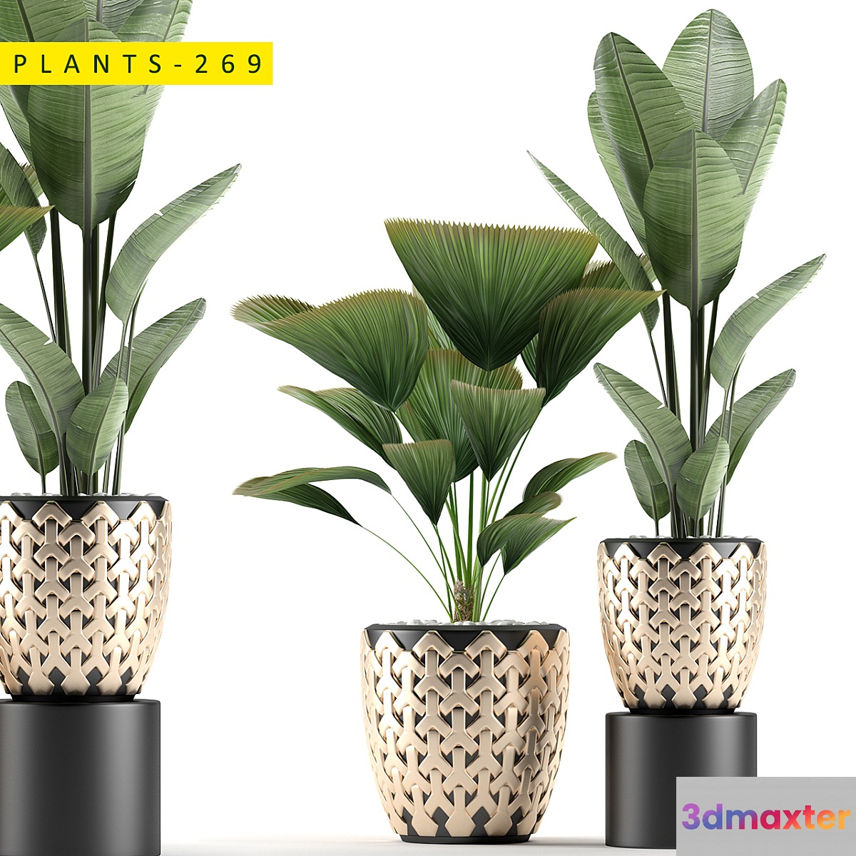 plants 269
