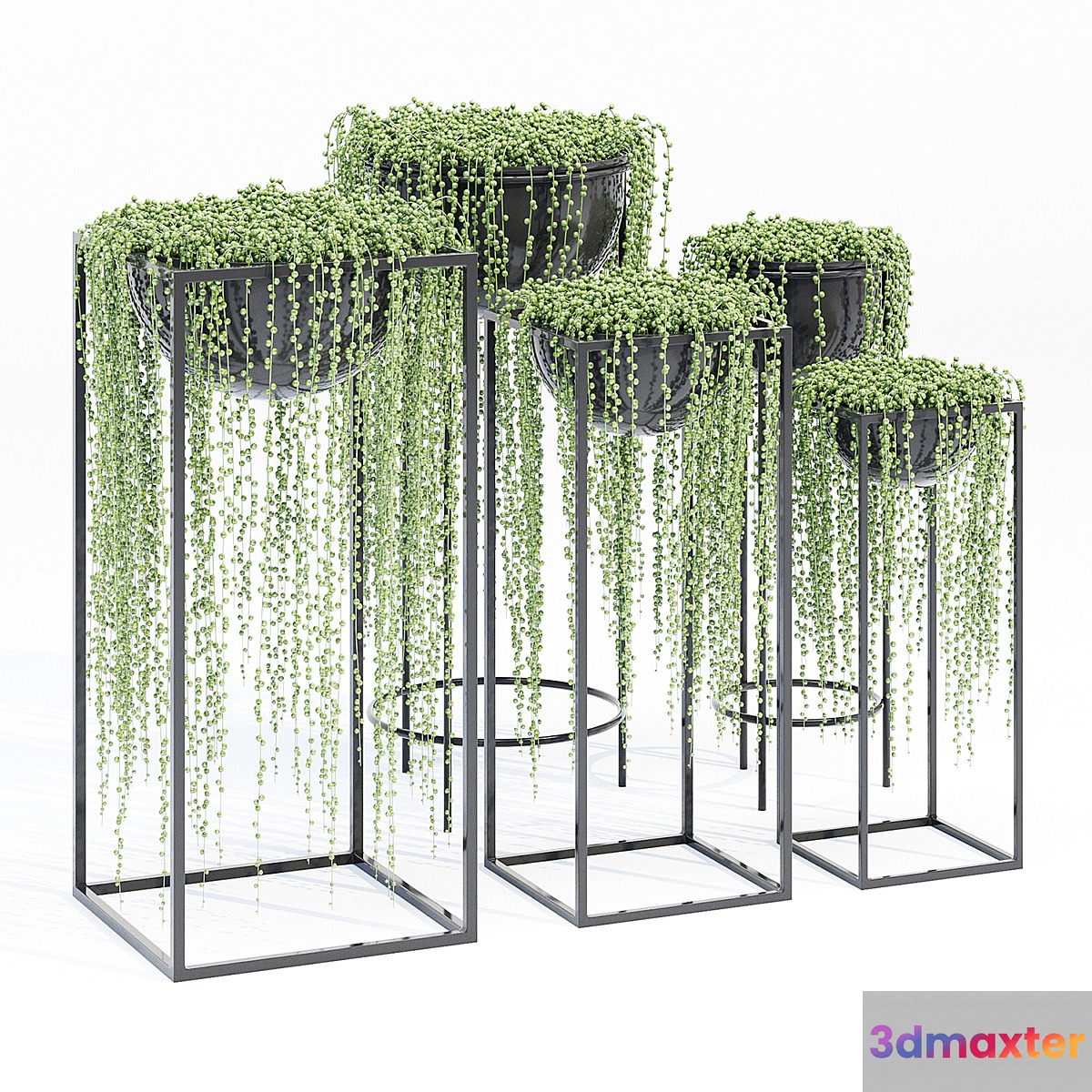 Matson tiara 3D Max