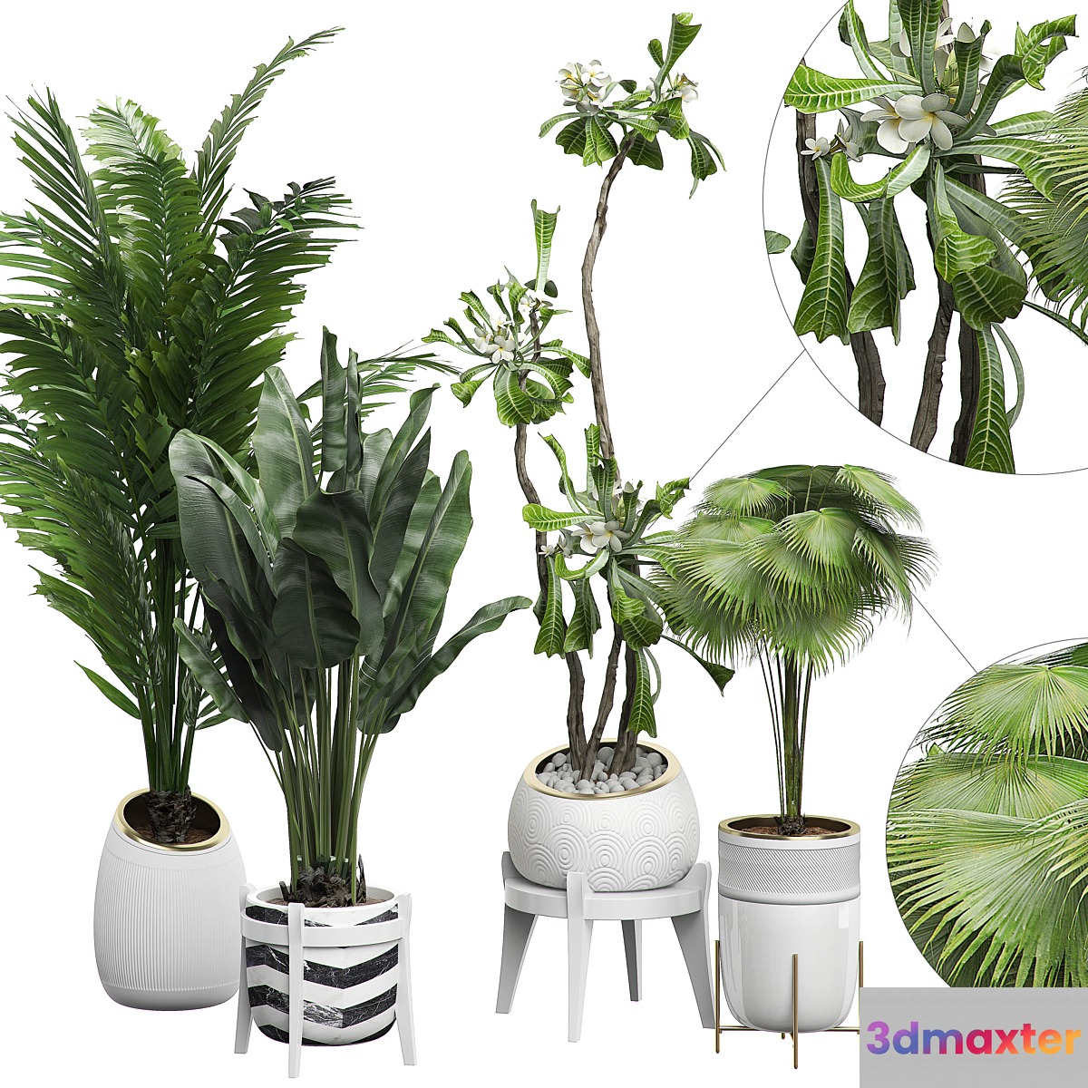 INTERIOR FLOWER PACK 15