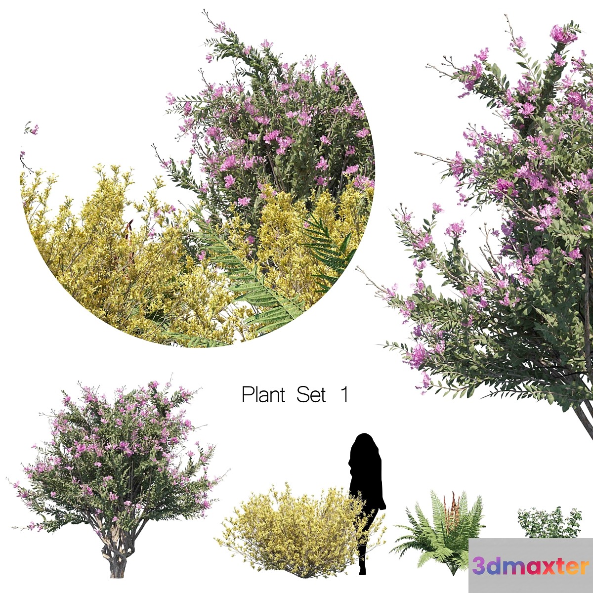 Plant set 1 3D Max