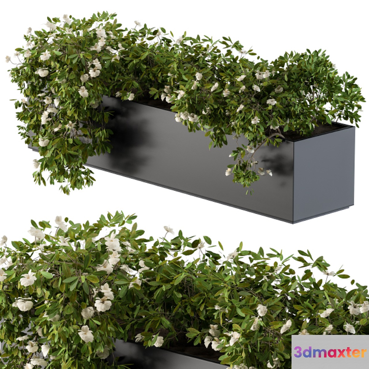 Modern Planter Box White Flower 3D Max