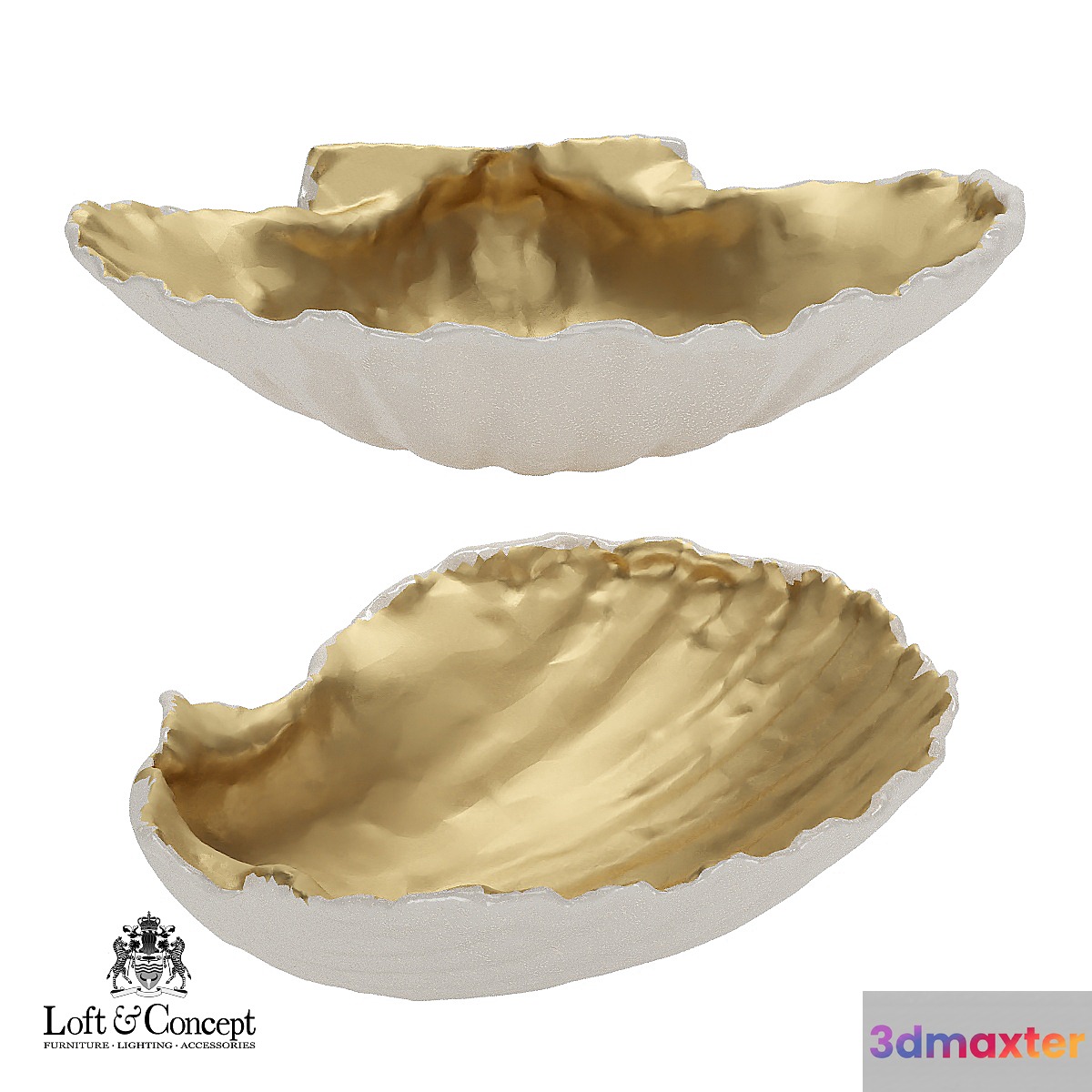 Accessory seashell Gold 