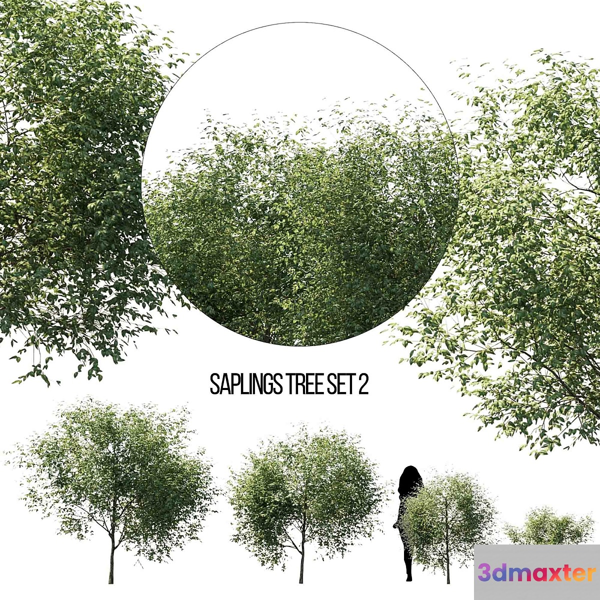 saplings tree set 2 3D Max