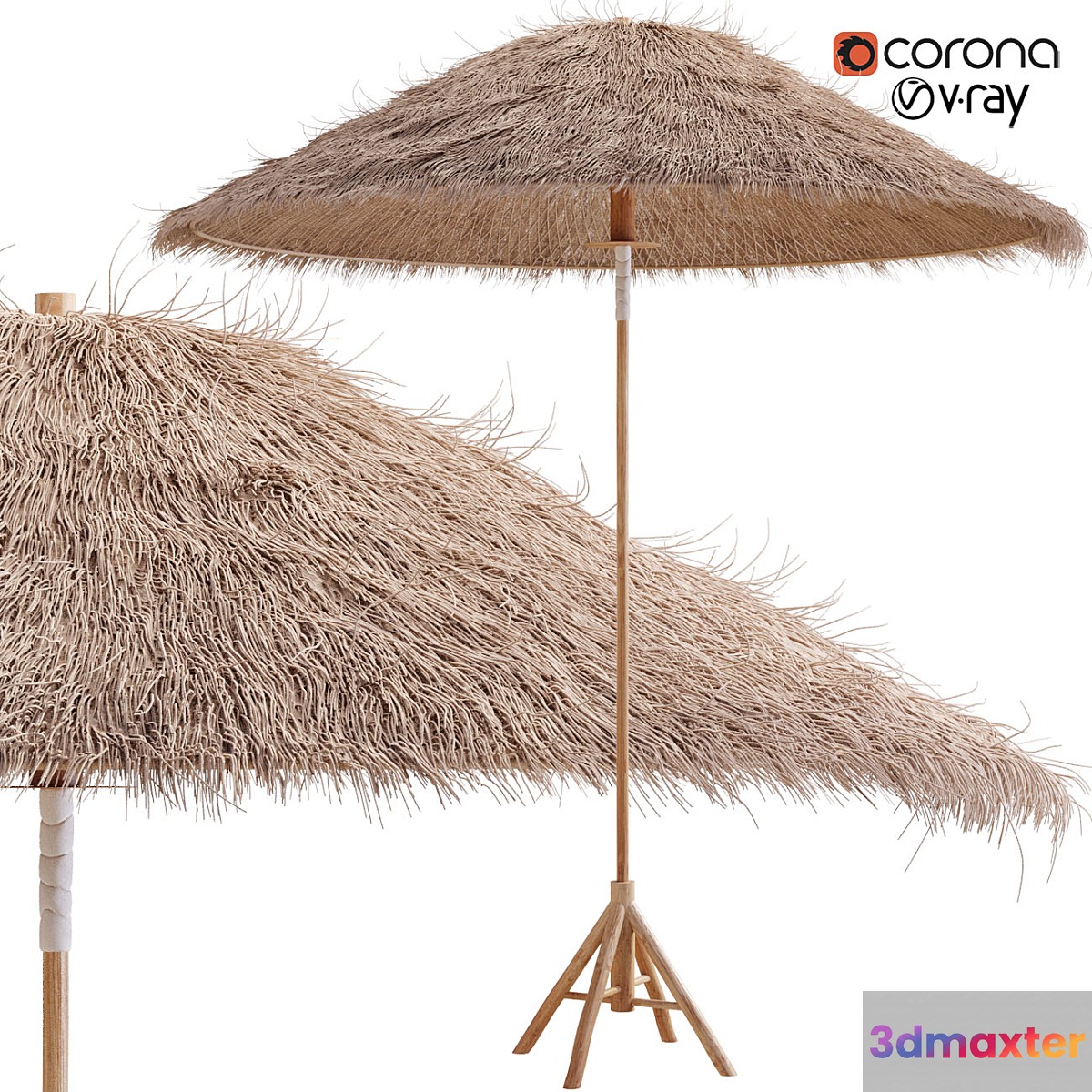 Bamboo Umbrella with Banana Leaf 3D Max