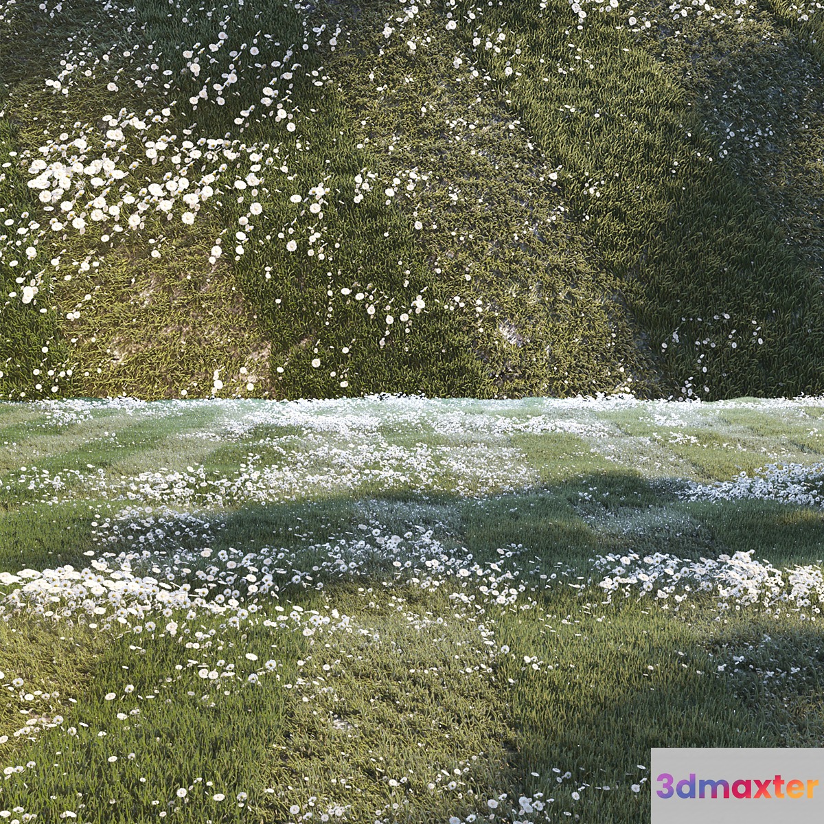 Grass set 01 - No.2