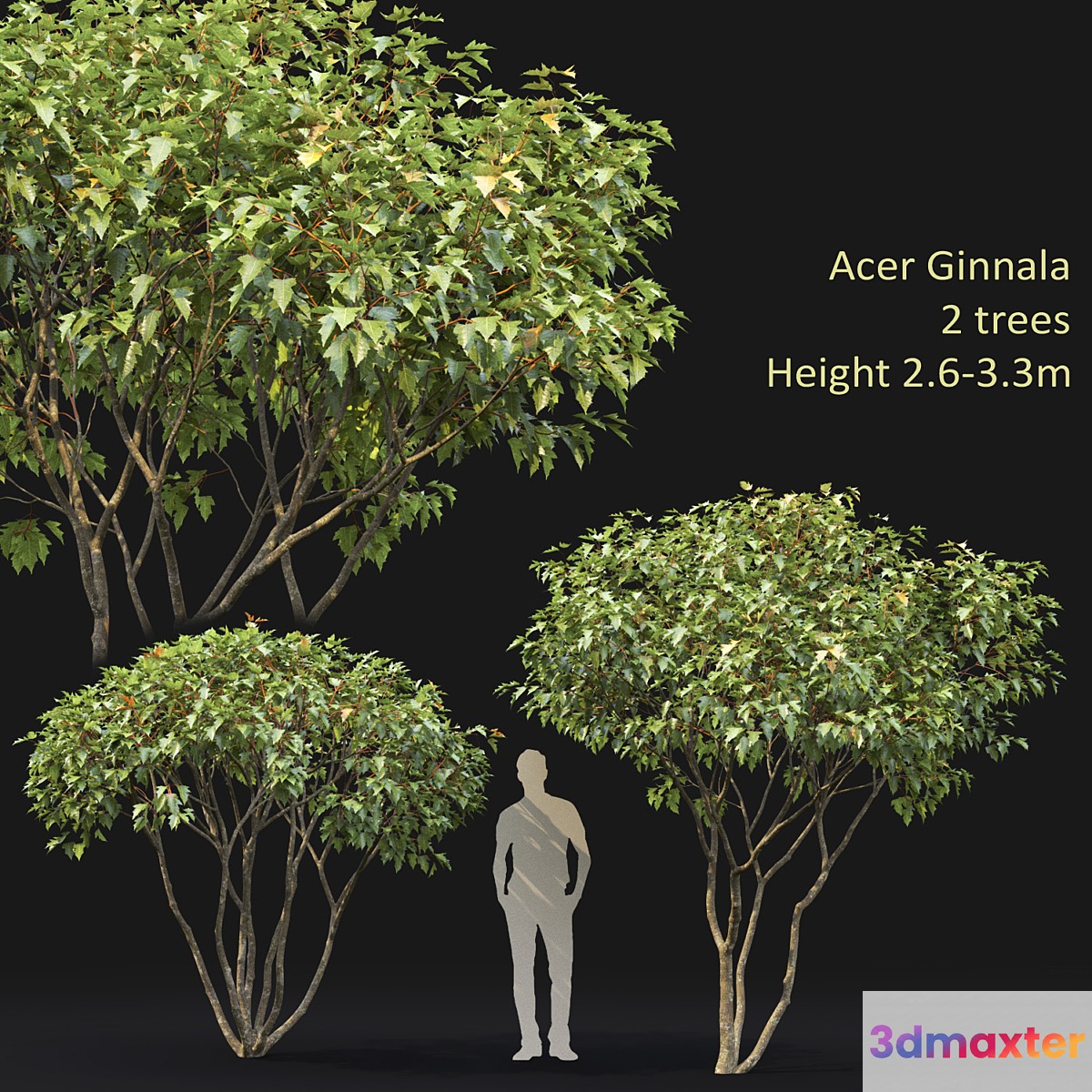 Acer 3D Max