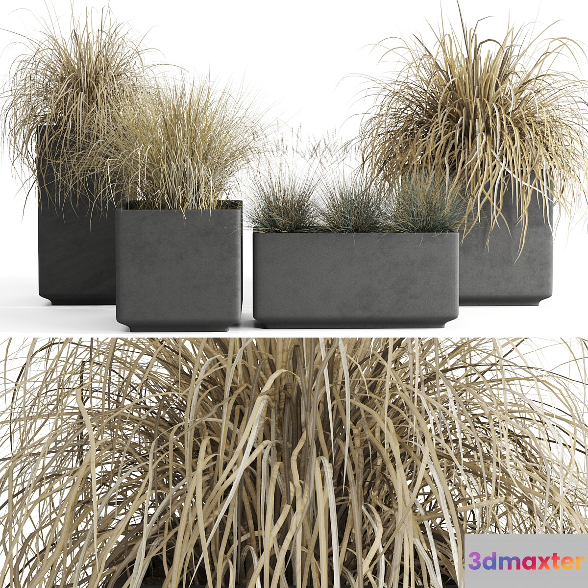 Dry decorative cereals in pots 3D Max