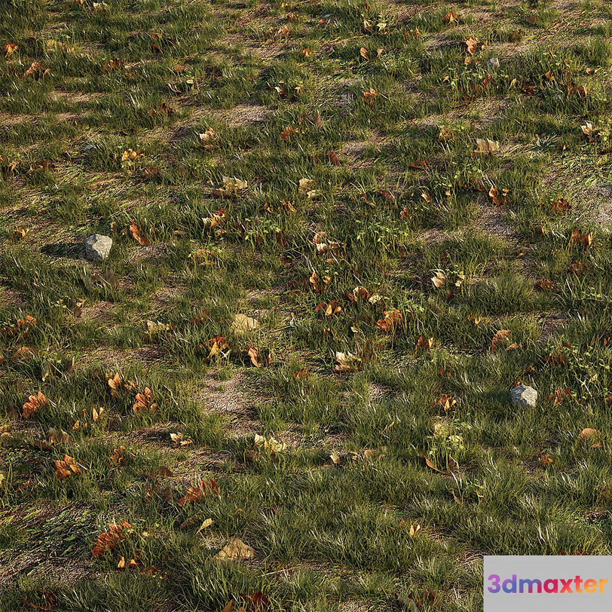 House grass or lawns 3D Max