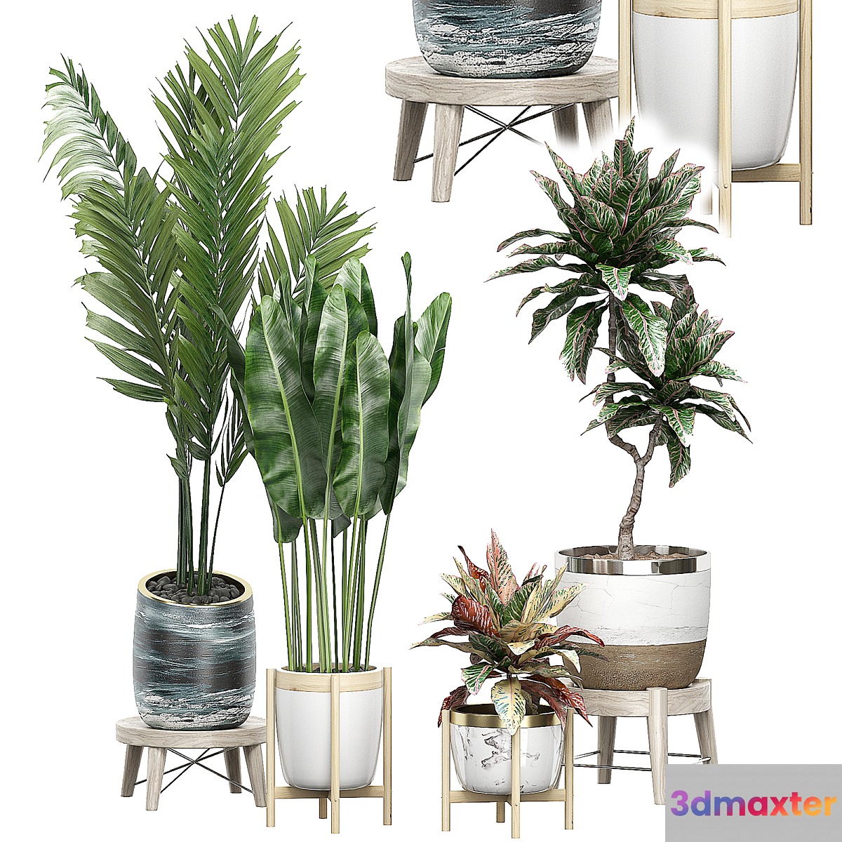 INTERIOR FLOWER PACK 42 3D Max