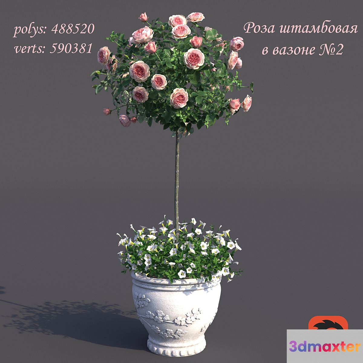 Rosa shtambovaya in a pot No. 2 3D Max
