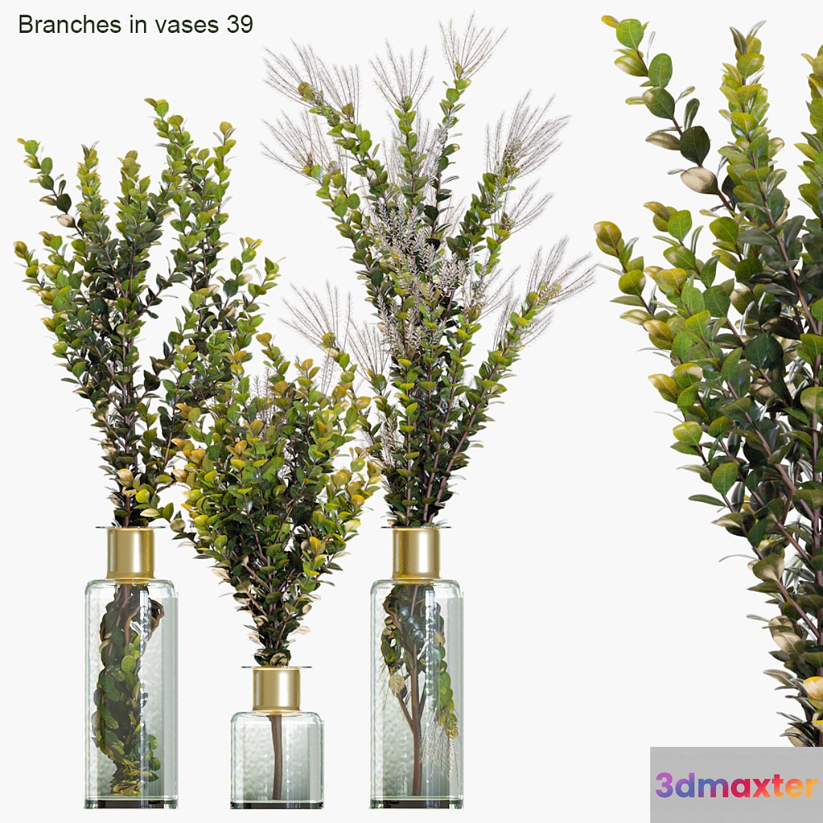 Branches in vases 39