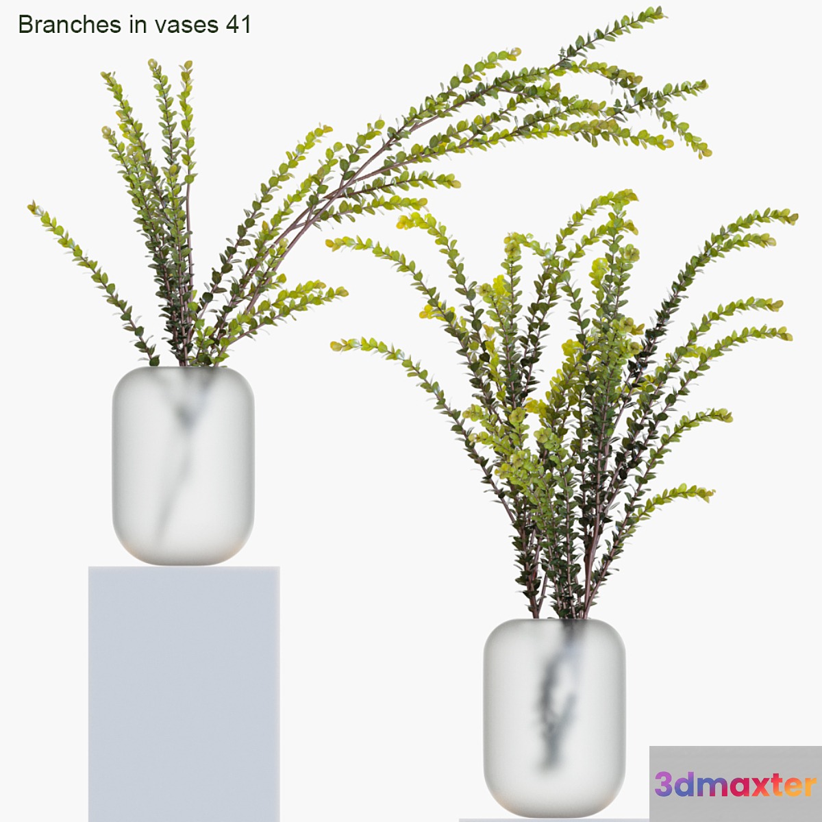 Branches in vases 41