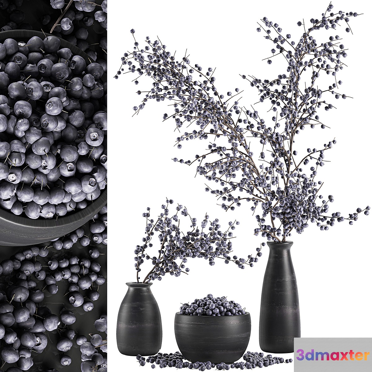 A collection of bouquets of branches with blueberries in black vases with blueberries a bowl with berries natural decor. Set 549. - No.2