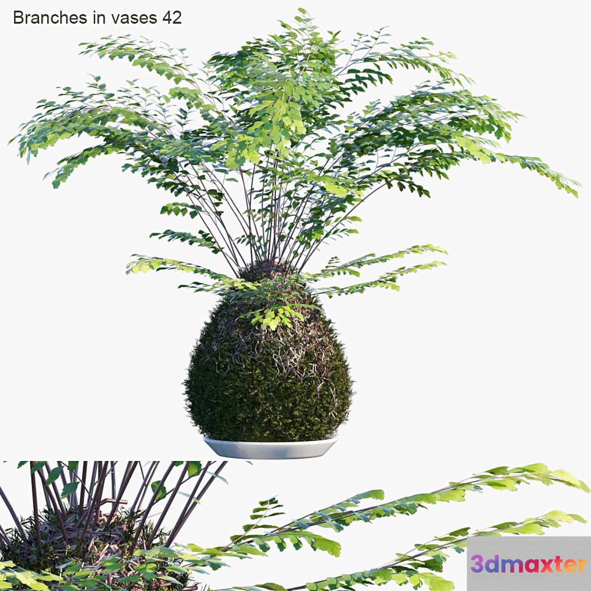 Branches in vases 42: Kokedama