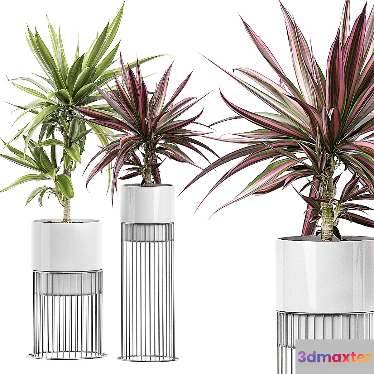 INTERIOR FLOWER PACK 51 3D Max