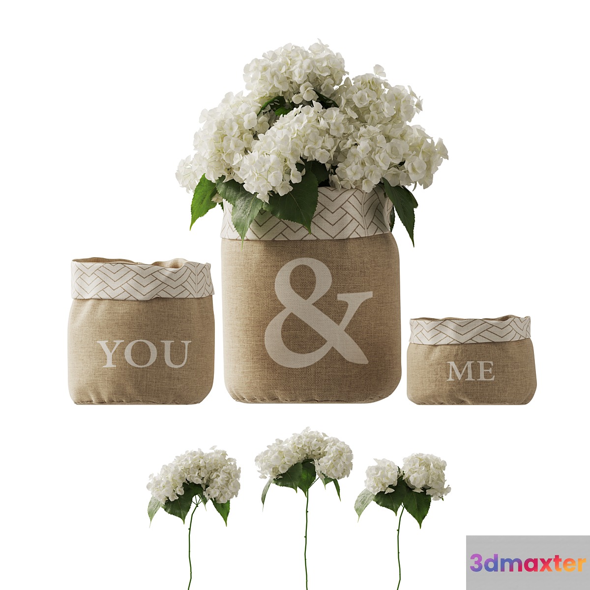 white hydrangea changeable vase