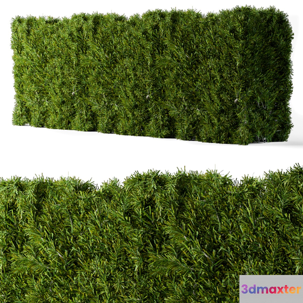 Bush needle wall 3D Max